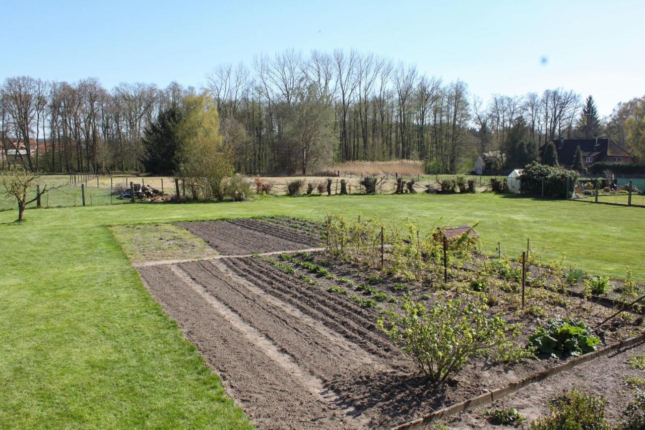 Ferienwohnung Gartenblick - A19374 Suderburg Extérieur photo